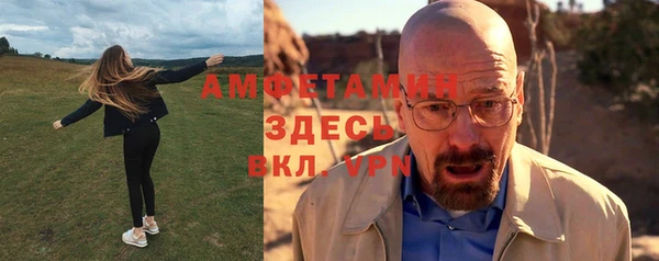 крисы Абаза