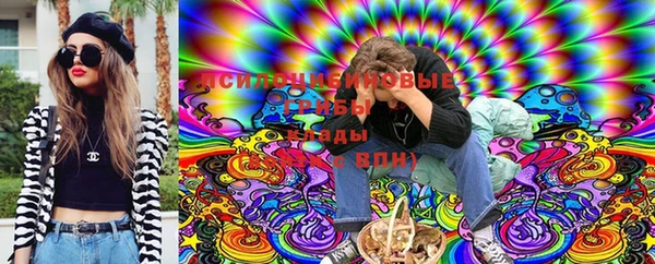 2c-b Новозыбков