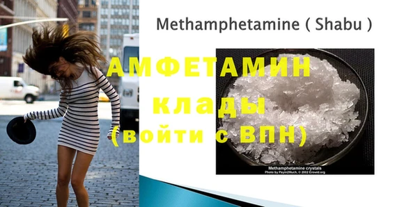 крисы Абаза